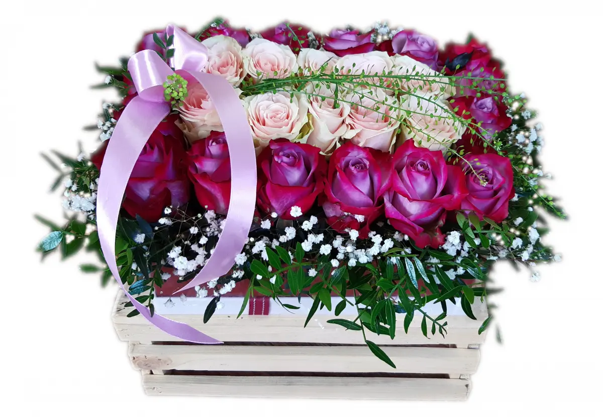 Květinová Bedýnka Rosse