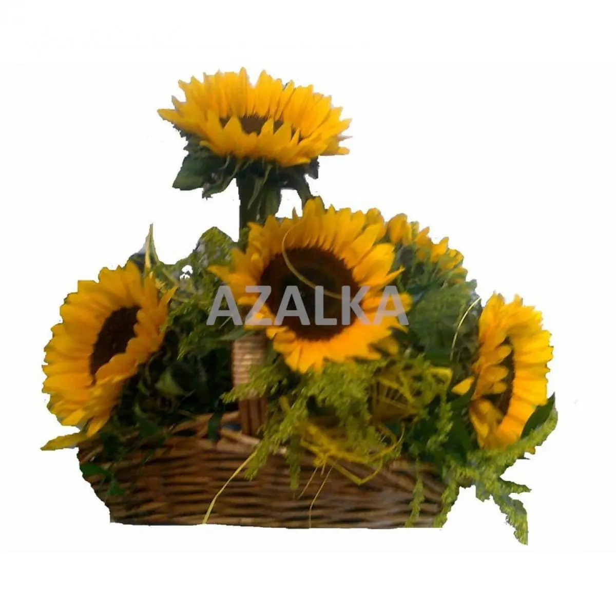 Dárkový Koš Mario