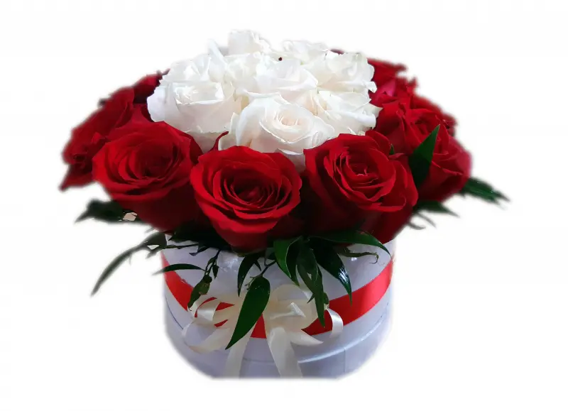 Květinový Box Alba