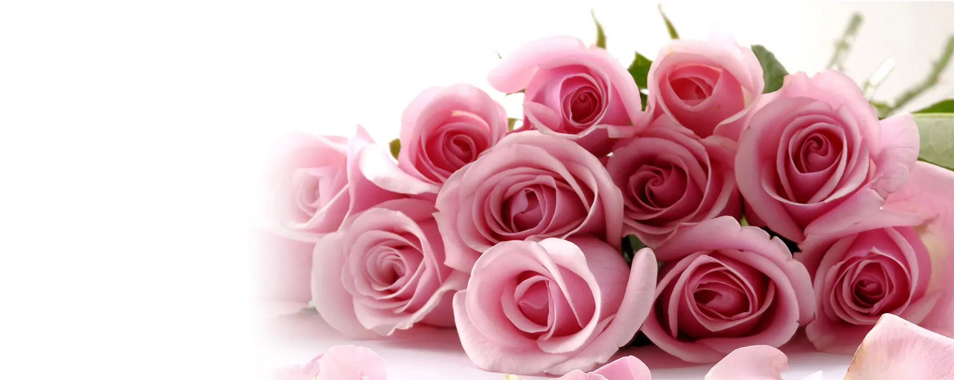 Rozvoz Květin Ostrava